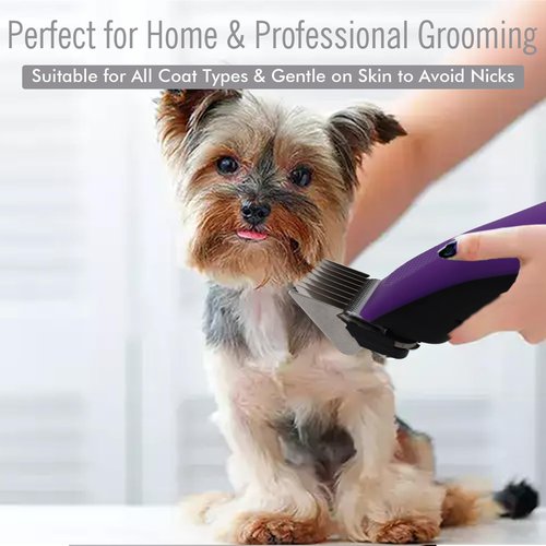 Professional A5-Style Animal Clipper Stainless Steel Color-Coded Snap-on Attachment Guard Guide Comb, 1/8"-1" Compatible with Wahl KM Series Oster A5 Andis Detachable Blade Pet Dog Groomers (#5-5/8")