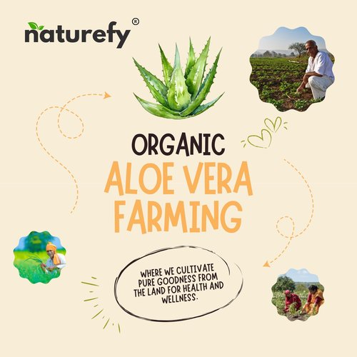 Naturefy Aloe Vera Gel | 100% Pure & Organic | Farm Fresh Aloe Vera Pulp Extract with Jojoba Oil, Glycerine & Vitamin E | Hydrating, Soothing & Skin Repair Gel for Face, Hair & Body | 10.14 fl.oz.