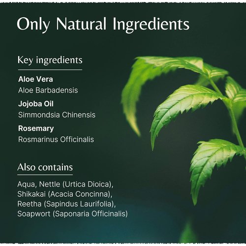Aloe Vera Jojoba Shampoo - Organic Aloe Vera & Rosemary Infusion | 200ml Natural Formula