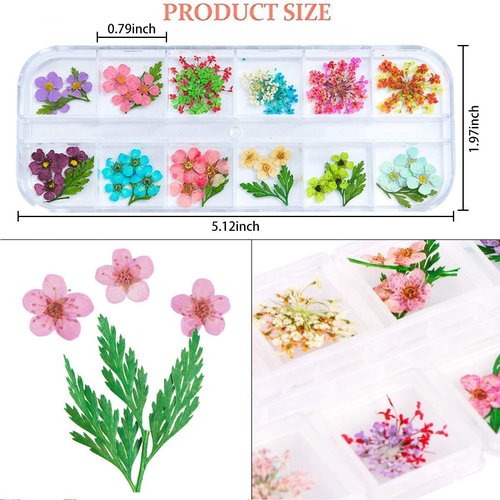 2 Boxes Nail Art Dried Flowers,UNIME 24 Colors Mini Real Natural Flowers Nail Art Supplies 3D Applique Nail Decoration Sticker for Tips Manicure Decor Accessories,Gypsophila