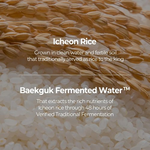 SKINFOOD Rice Daily Sheet Mask - 5-Minute Firming & Nourishing Hydration for Smooth, Clear Skin | Bulk Pack (30 Masks)