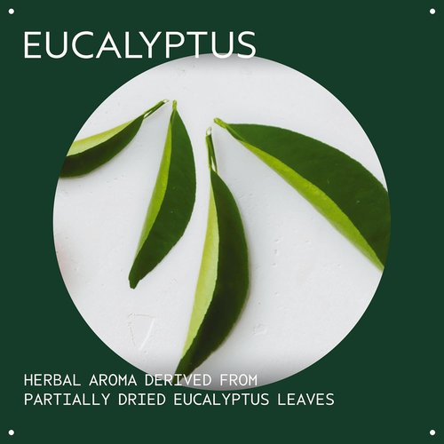 Aveda Eucalyptus Essential Oil - Fresh Aroma for Body & Bath | 1 Fl Oz