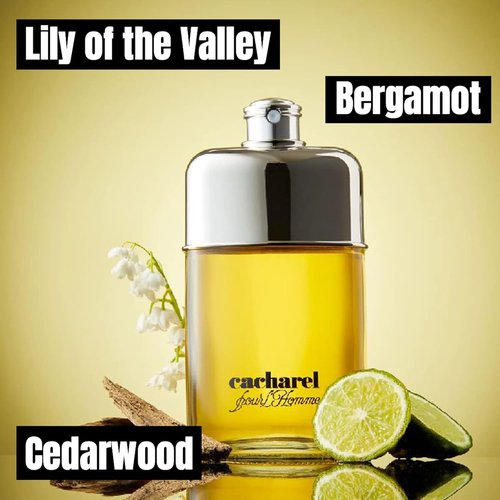 Cacharel Pour L'Homme Cologne - Woody & Spicy Fragrance with Bergamot & Cedar Wood - 3.4 Fl Oz