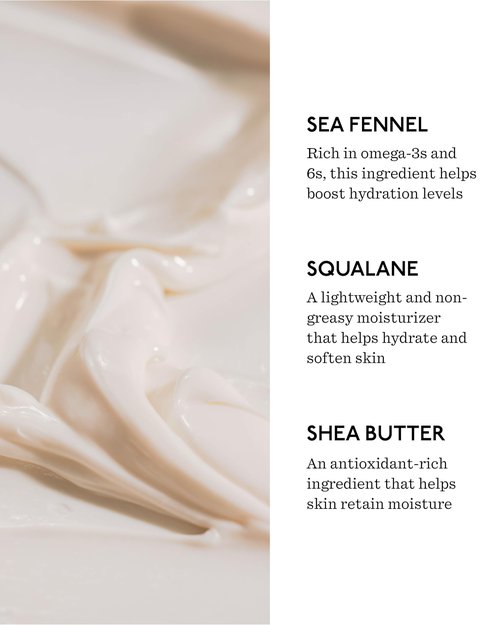 Fount Society Body Butter - 8 fl oz Nutrient-Dense Hydrating Body Butter with Sea Fennel & Shea Butter - Lightweight, Fast-Absorbing, Fragrance-Free - Vegan & Cruelty-Free