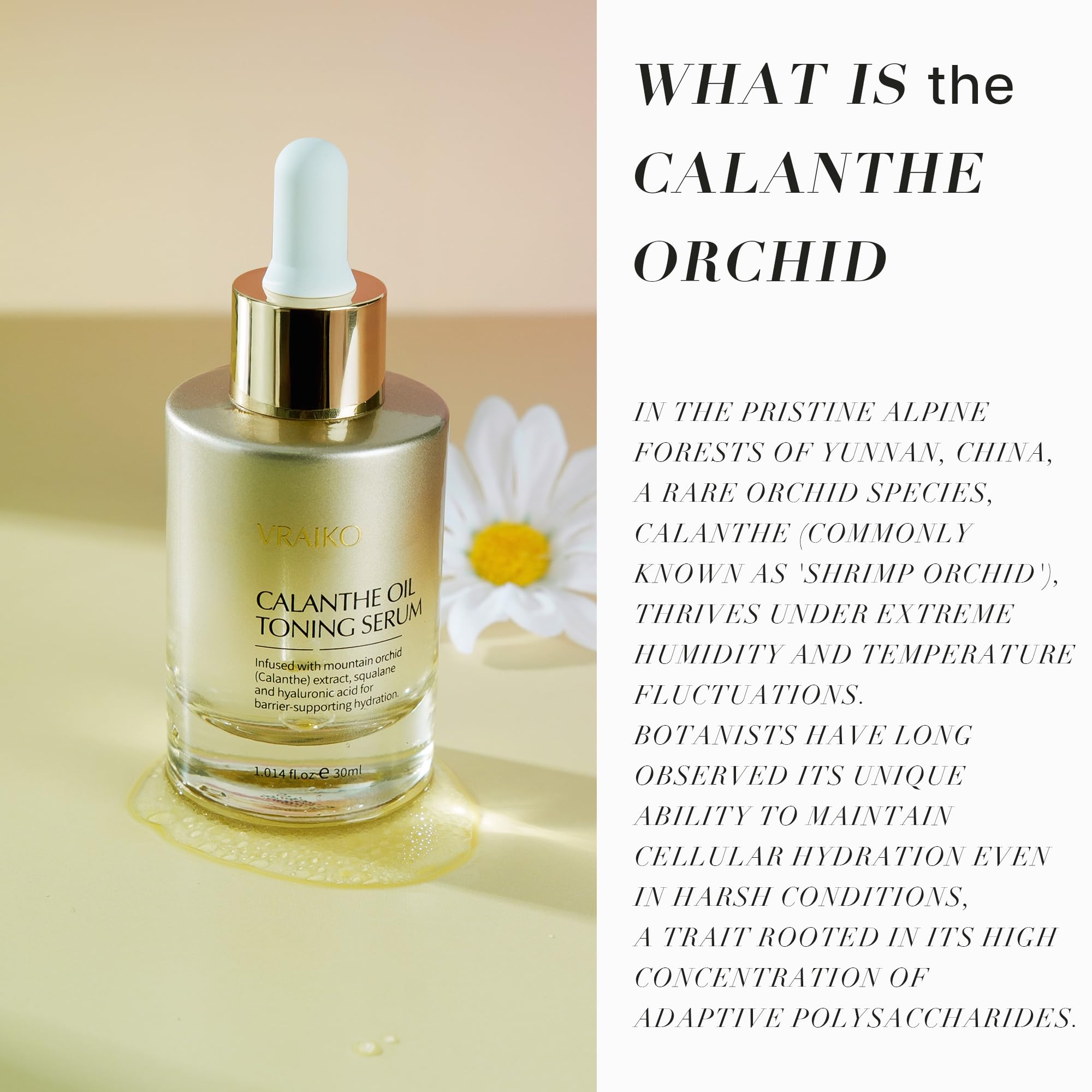 VRAIKO Gua Sha Face Oil Serum | 1st High-Altitude Calanthe Orchid Product | Detox, Plump, Anti-Oxidant, Soothing | Alpine Botanic, Cruelty Free, Natural, 1 fl oz