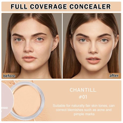 Regine Switzerland Under Eye Concealer - Dark Circle Corrector & Brightener, Long-Lasting (01 Chantill)