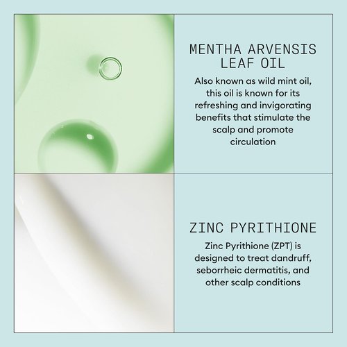 Nioxin Scalp Recovery Purifying Shampoo - Anti-Dandruff Formula for Itchy, Flaky Scalp | Pyrithione Zinc