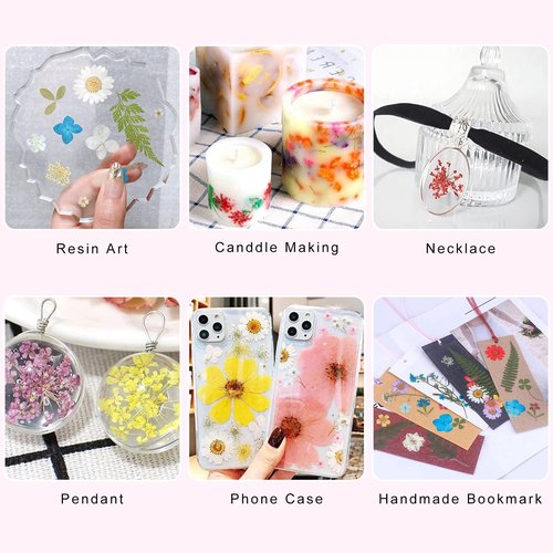 iFancer Dried Flowers for Resin Craft Nail Art Mix Small Mini Dry Flowers (Pack of 6 Boxes, About 260 PCS)