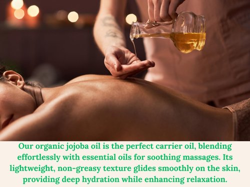 Organic Jojoba Oil – 100% Pure, Cold-Pressed, Unrefined – Jojoba Oil for Hair, Skin, Face, Body, Beard, and Scalp – Natural Carrier Oil for Essential Oils – 16 fl oz Amber Glass Bottle with Pump