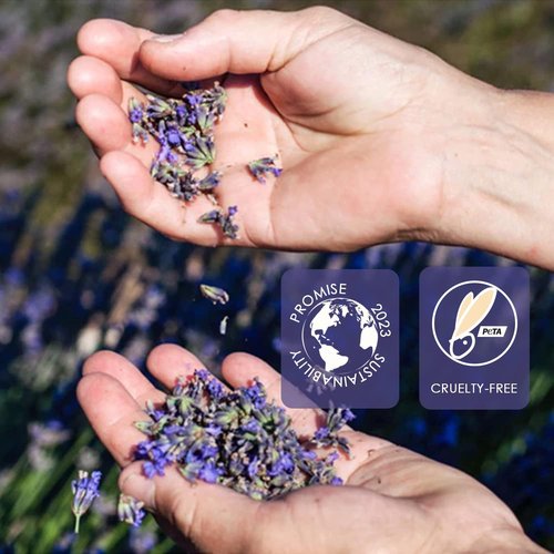FEMIROWAX Wax Beads, 1lb Hard Wax Beans for Hair Removal Sensitive Skin with Lavender Formula Waxing Beads for Full Body Brazilian Bikini Face Eyebrow at Home Wax Refill for Women Men