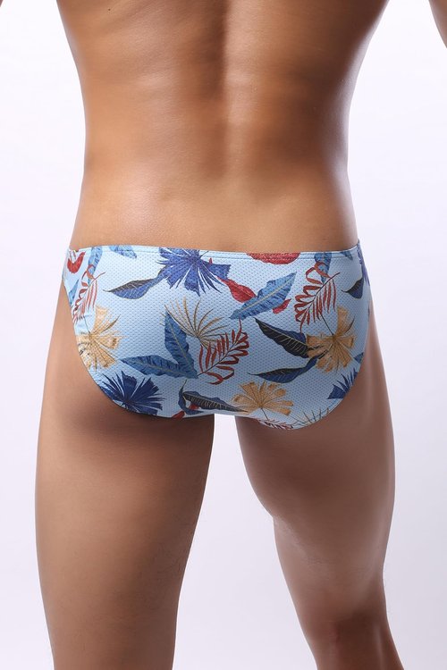 Maiclaice Men's Spandex Low Rise Printed Bikini Eyelet Briefs Underwear Sky Blue