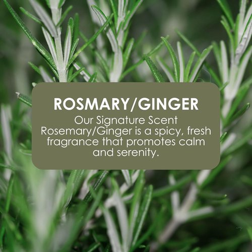 Jean & Len Hand & Body Wash - Rosemary & Ginger Scent | Cleans & Nourishes Skin, 169.07 Fl. Oz.