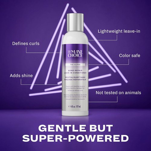 Alpha Recoil & Curl Leave-In Conditioner - 6 oz | Repairs & Moisturizes Coily, Curly, Wavy Hair