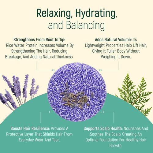 Skiennix Solid Shampoo Bar & Conditioner - 100% Organic Hair Soap with Natural Essential Oils | Lavender
