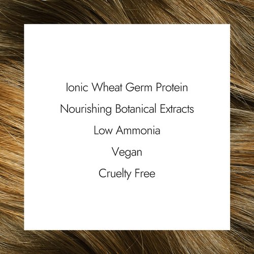 Ion Medium Intense Blonde Hair Color - 100% Gray Coverage, Vegan & Cruelty-Free, 2.05 Oz