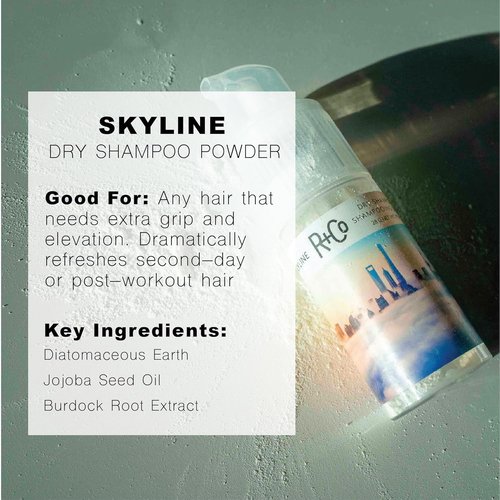 R+Co Skyline Dry Shampoo Powder - Oil-Absorbing, No Residue Formula for Refreshing Hair - 1 oz