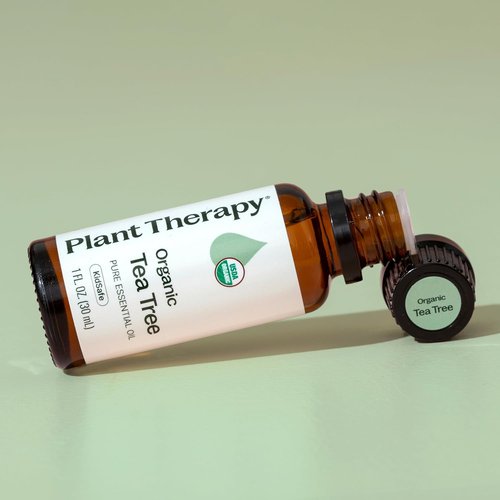 Plant Therapy Organic Tea Tree Oil - 100% Pure & USDA Certified Organic, Therapeutic Grade 30 mL (1 oz)