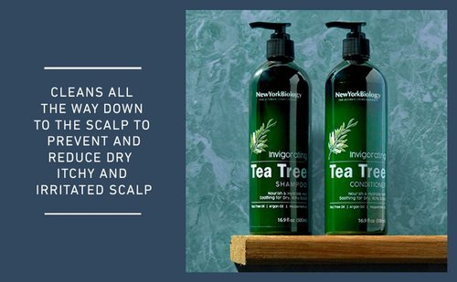 New York Biology Tea Tree Shampoo & Conditioner Set - Deep Cleansing Relief for Dandruff - 16.9 Fl Oz