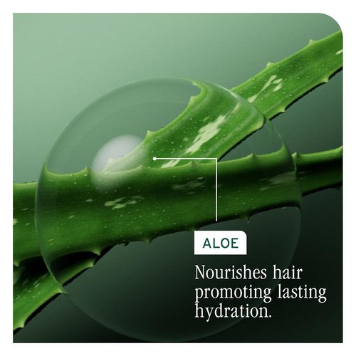 Biolage Hydra Source Deep Treatment Mask - Nourishing & Smoothing Formula for Dry Hair, Aloe Vera & Hyaluronic Acid Infusion