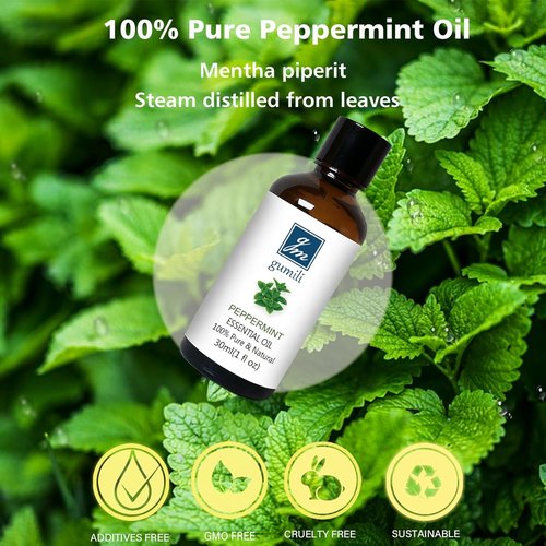 GM Gumili Peppermint Essential Oil - 100% Pure for Diffusers, Hair, Soap & Body Wash | 30ml