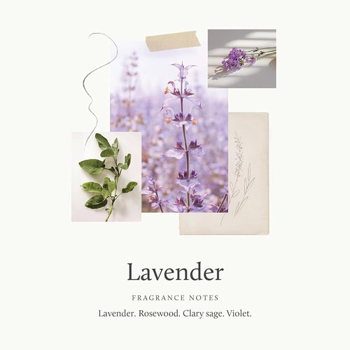 Thymes Lavender Hand Wash - Hydrating Liquid Soap with Calming Lavender Scent | 15 fl oz