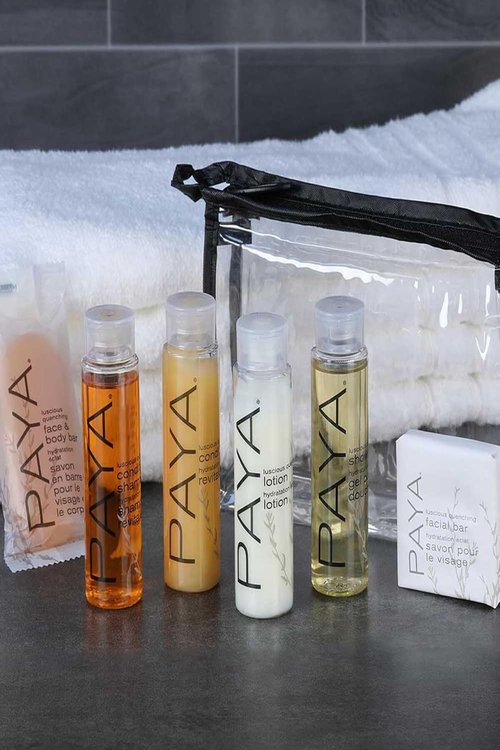 Skiennix Toiletry Travel Set - Shampoo, Conditioner, Shower Gel & Facial Soap with Tote Bag