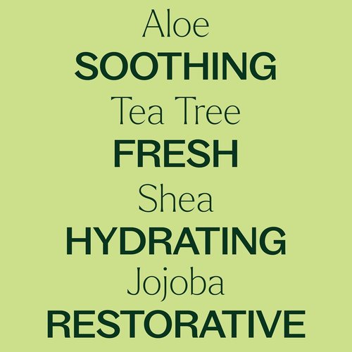 Plant Therapy Tea Tree Body Lotion - Hydrate & Nourish Skin with Aloe & Shea | 8 oz