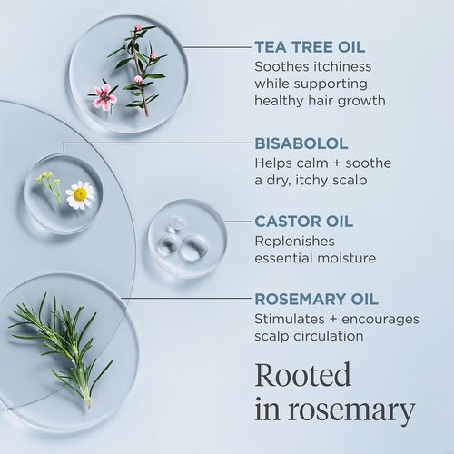 Briogeo Scalp Revival Rosemary Pre-Wash Oil - Moisturizing Treatment for Dry, Flaky Scalp | Vegan & Cruelty-Free