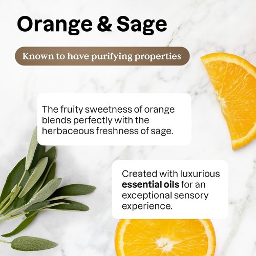 ATTITUDE All-Purpose Cleaner Spray - Plant-Based, Streak-Free Formula | Sage & Orange, 26 Fl Oz