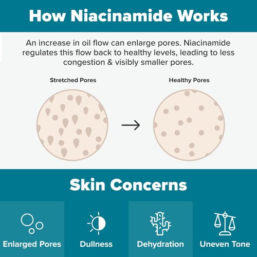Paula's Choice Skin Balancing Pore-Reducing Face Toner with Niacinamide, for Oily Skin & Combination, Minimizes Large Pores, Controls Oil & Shine, Hydrates & Replenishes, Fragrance-Free, 6.4oz