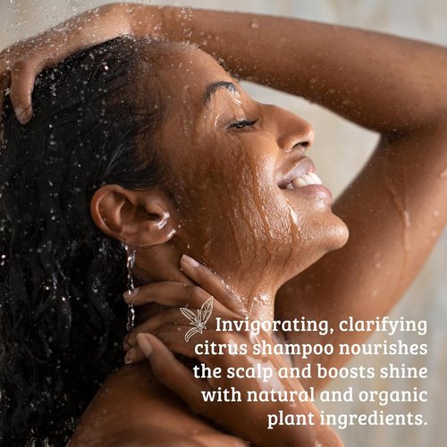 Pharmacopia Citrus Shampoo - Natural Plant-Based Hair Care with Aloe Vera & Jojoba Oil | 16 oz Vegan & Cruelty-Free