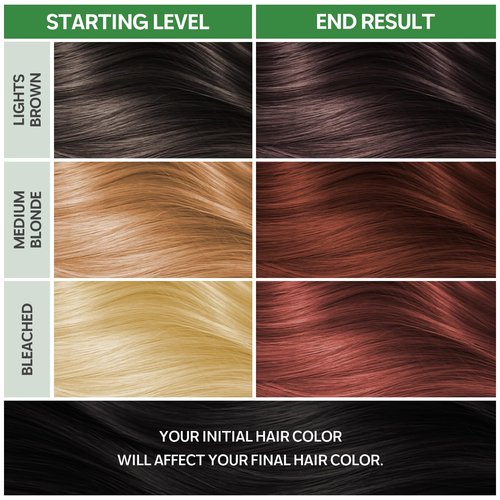 NOUGAT Amber Brown Permanent Hair Color Kit | 100% Gray Coverage, Ammonia-Free & PPD-Free, Nourishing Anti-Aging System