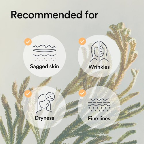 Abib Collagen Gel Mask Jericho Rose Jelly 4 Sheets (Nourishing) I Korean Vegan Collagen, Cooling Nourishing Hyaluronic Acid Hydrogel Face Mask Skin Care