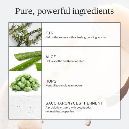 Ursa Major Natural Deodorant - Forest Fix | Aluminum-Free & Non-Staining | 2.6 Ounces