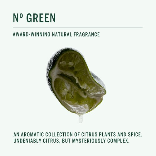 CORPUS - Natural Deodorant Stick For Sensitive Skin | Aluminium + Baking Soda Free | Unisex, Non-Toxic, Made In The USA (Nº Green)
