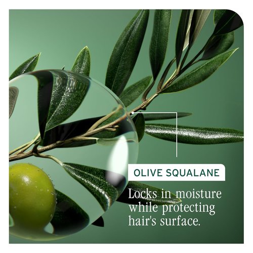 Biolage Strength Recovery Conditioner - Moisturizes & Strengthens Damaged Hair | Hydrating Formula with Olive Squalane & Vegan Proteins