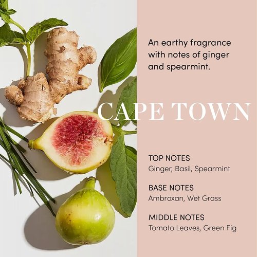 OUAI Scalp Serum - Balancing Hair Serum with Red Clover & Siberian Ginseng for Thicker Hair | 2 Fl Oz