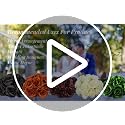 Black Artificial Roses Flowers - 12 Pcs Fake Silk Long Stem Bouquets for Halloween & Gothic Decor - Variation of 12-PCS / Black