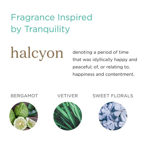 MKS Eco WOW Oilixir - Multi-Use Hair & Skin Oil in Halcyon Scent | 2 Fl Oz - Vegan & Cruelty-Free, No Harsh Additives