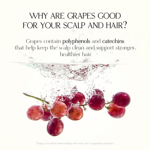 Skiennix Mild Moisture Shampoo - Hydrating & Nourishing for Normal to Dry Scalp | 16.9 fl oz