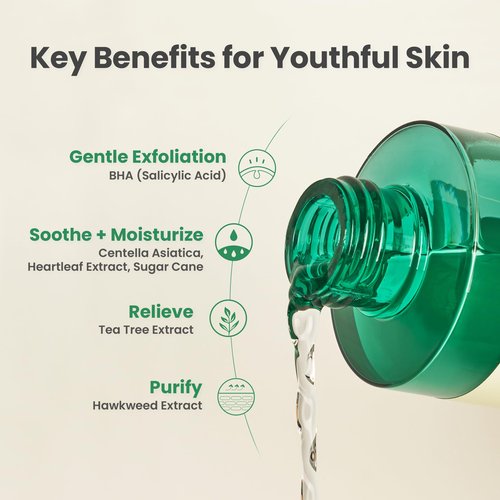 AXIS-Y Daily Purifying Treatment Toner with Salicylic Acid & Centella Asiatica - Pore Minimizer, Oil Control & Blemish Treatment Face Exfoliator - Vegan Korean Skin Care BHA Toner - 6.76 fl. oz.