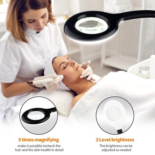 Retain Time Facial Steamer for Ozone Humidifier Atomizer Attach 5× Magnifier and Light, Professional Face Steamer Clean Skin Firming Pores and Moisturizing Suitable for a Beauty, Spa, at Home