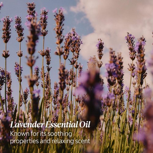 L'OCCITANE Lavender Hand Cream - Best-Selling Moisturizer for Soft, Hydrated Skin