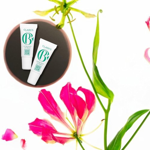 Clark's Botanicals Mini Ultra Rich Lip Balm - Plumping Moisturizer with Collagen & Shea | Mango & Avocado Butter, 0.14 fl oz (Pack of 2)