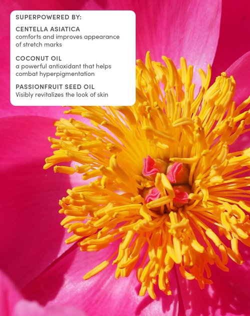 Evereden Petit Bouquet Belly Serum - Clean & Vegan Pregnancy Oil | Non-Toxic Stretch Mark Treatment | 1.7 fl oz