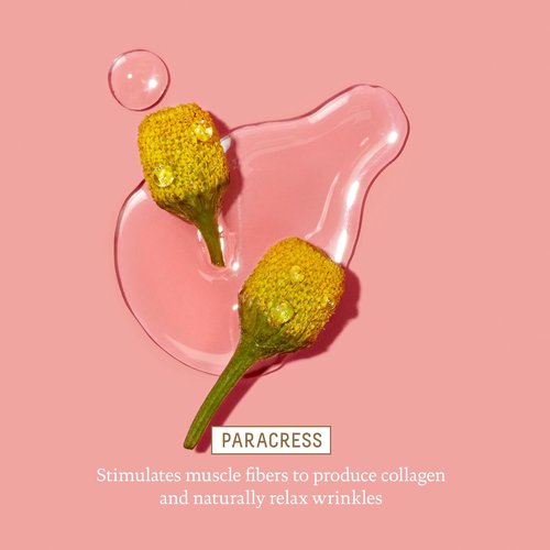 Biossance Squalane & Marine Algae Eye Cream - Anti-Aging Hydrating Formula for Fine Lines & Puffiness - 0.5 Ounce