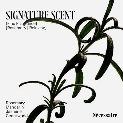 Nécessaire Rosemary Conditioner - Multi-Protein Strengthening Formula for Thinning Hair | 250 ml / 8.4 oz