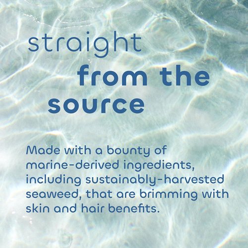 Seaweed Bath Co. Bubbling Muscle Soak - Tea Tree Lavender Scent, 12 Oz | Sustainably Harvested Seaweed & French Sea Clay
