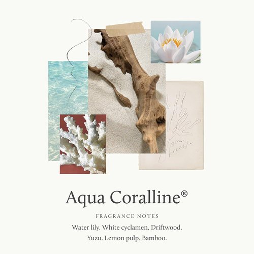 Thymes Aqua Coralline Plug-In Diffuser Refills - Smart Home Aromatherapy, Pack of 2