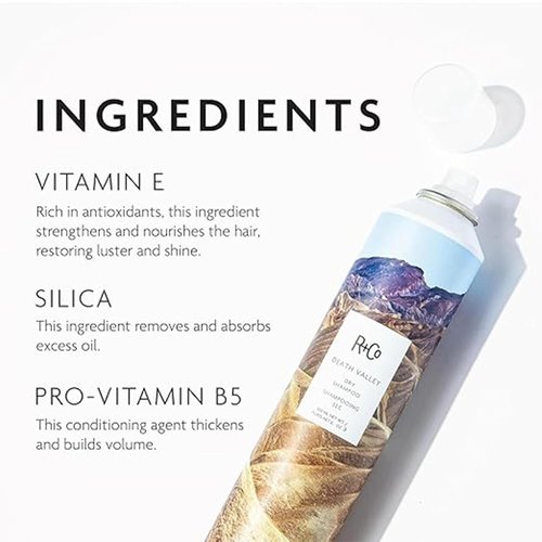 R+Co Death Valley Dry Shampoo for Women - Adds Volume & Body | Vegan, Gluten-Free, Paraben-Free